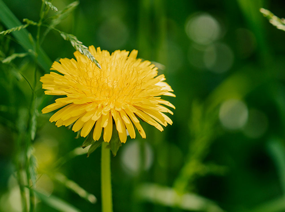 Välkommen till min blogg